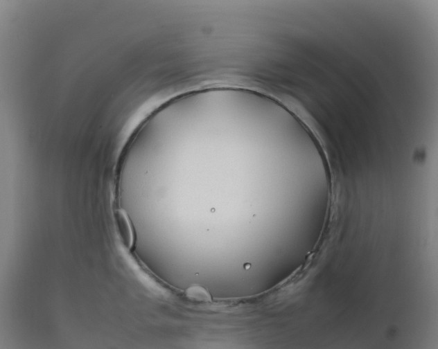 X0000112411005200908281810