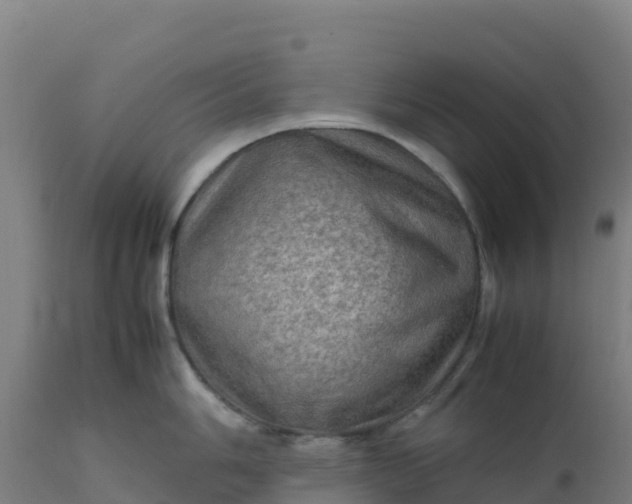 X0000112411006200908281810