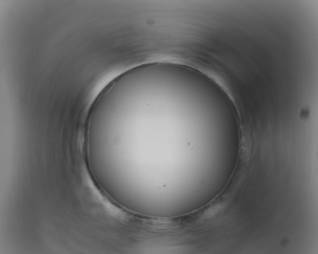 X0000112411007200908281810