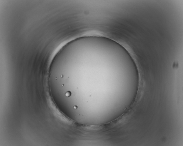 X0000112411008200908281810