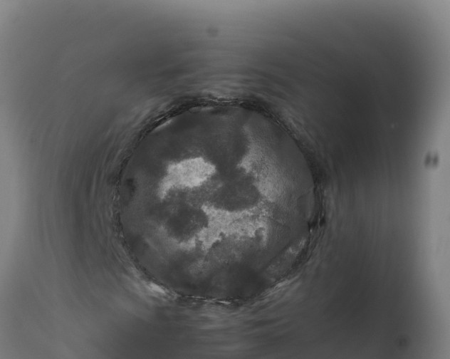 X0000112411009200908281809