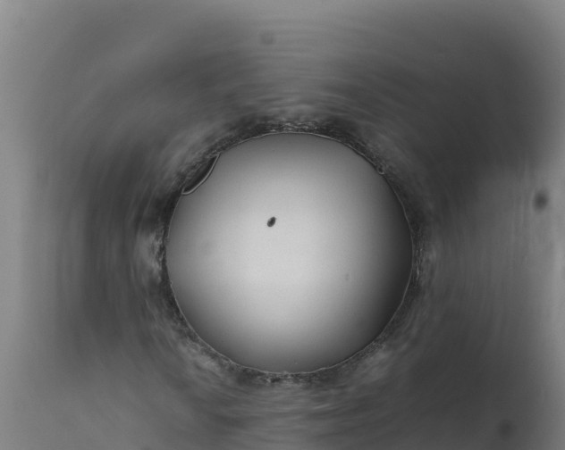 X0000112411010200908281809