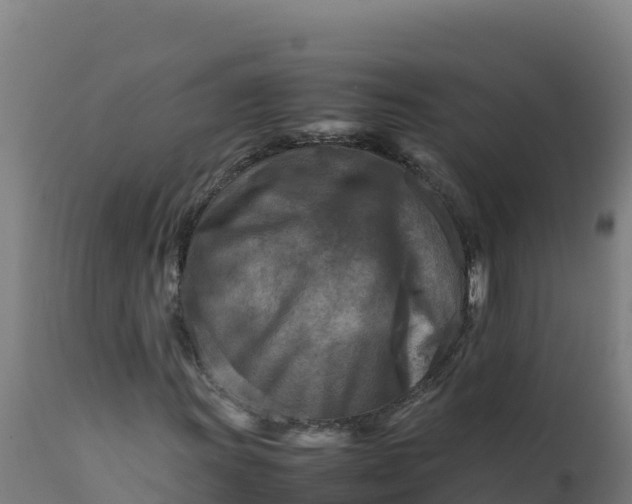 X0000112411011200908281809