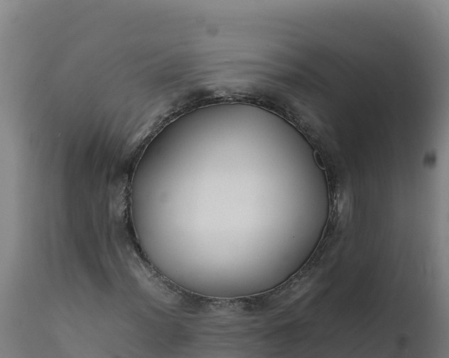 X0000112411012200908281809