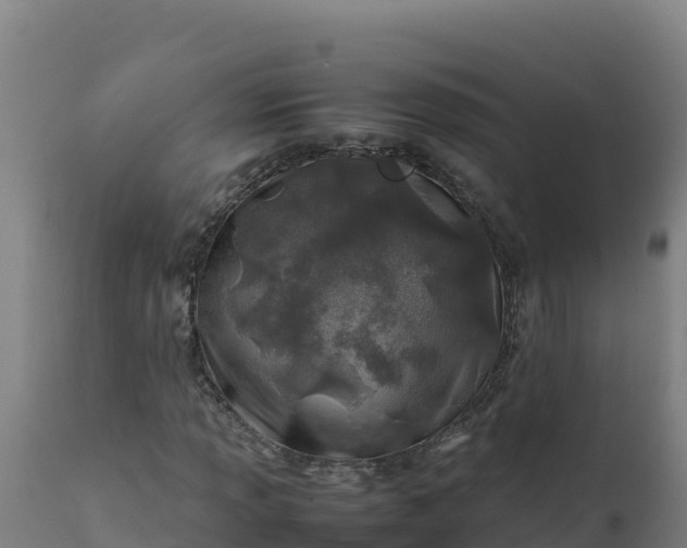 X0000112411013200908281809