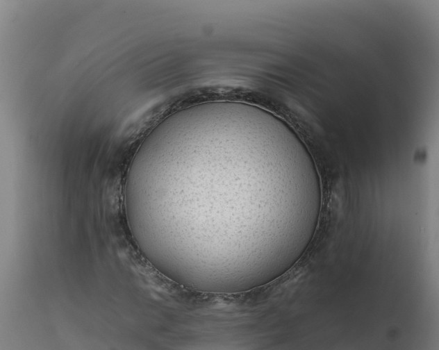 X0000112411014200908281809