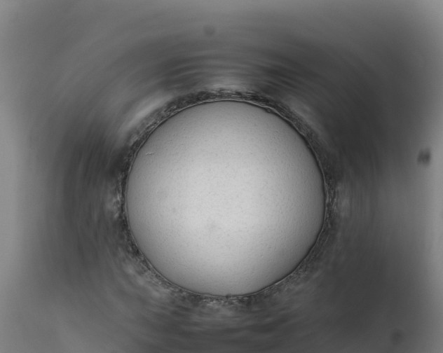 X0000112411015200908281809