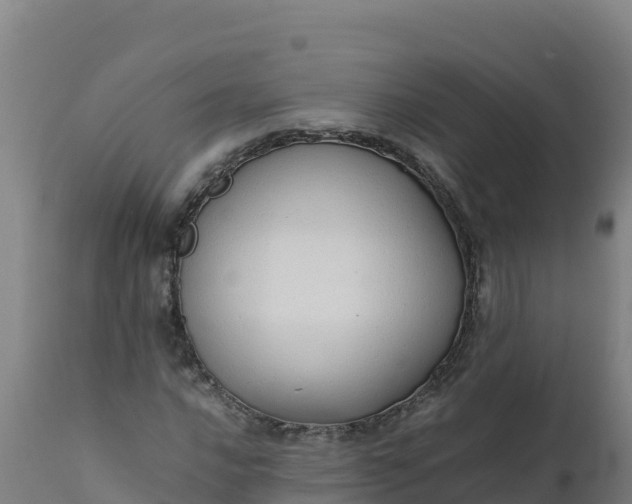 X0000112411016200908281809