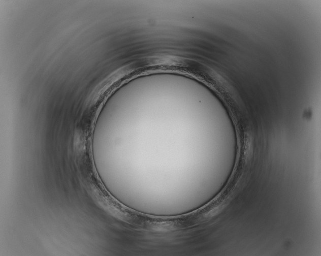 X0000112411017200908281809