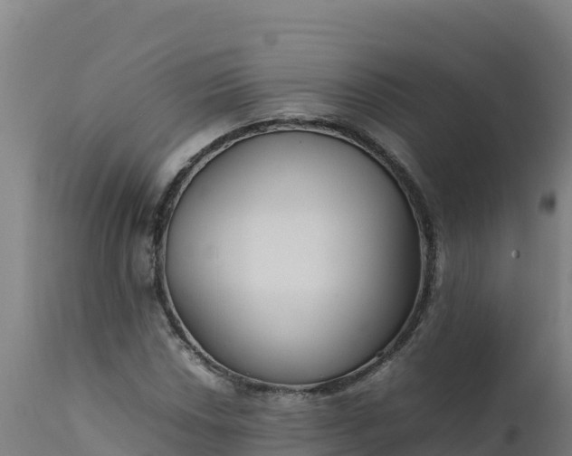 X0000112411018200908281809