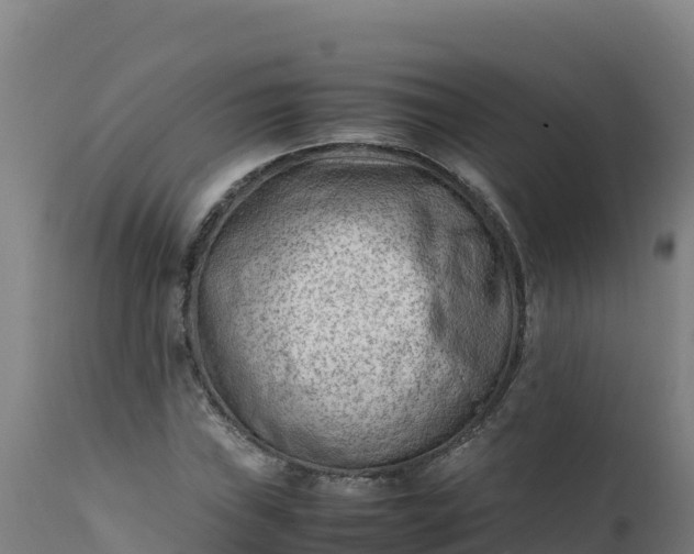 X0000112411019200908281809