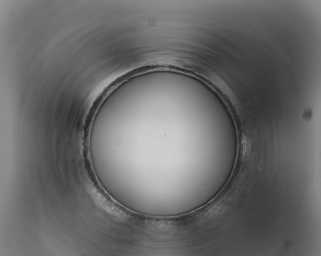 X0000112411020200908281809