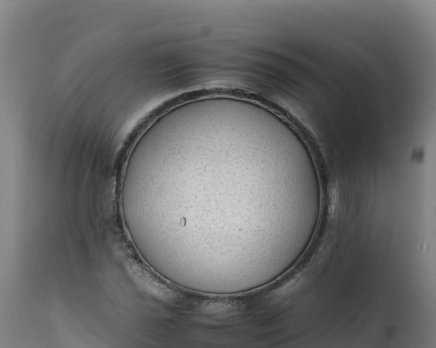 X0000112411021200908281809