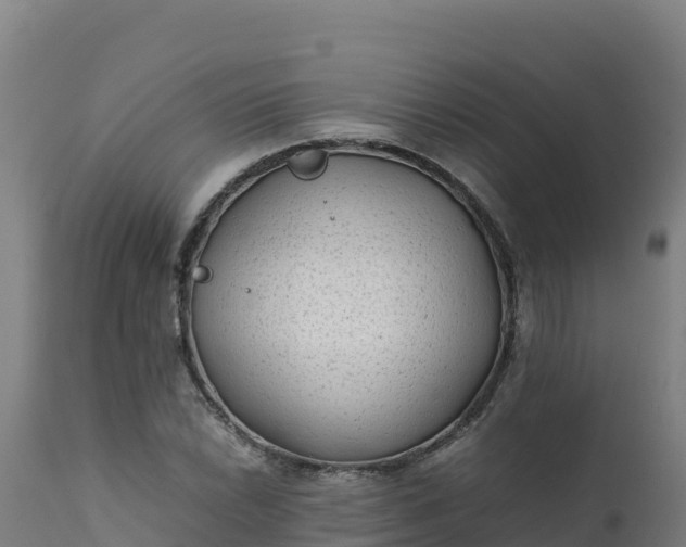 X0000112411022200908281809