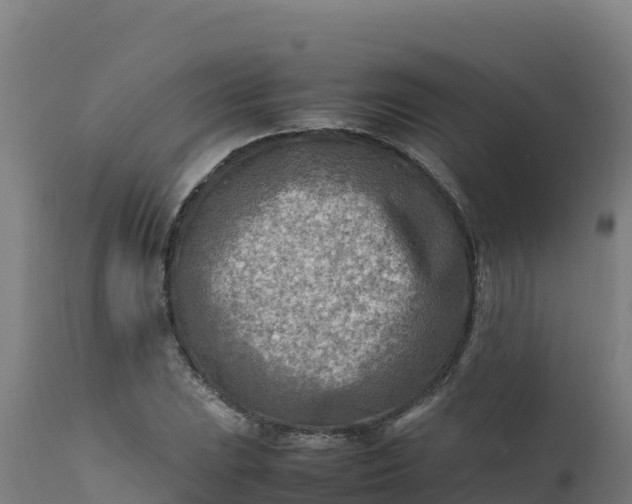 X0000112411023200908281809