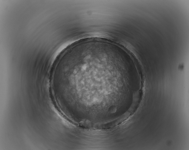 X0000112411024200908281809