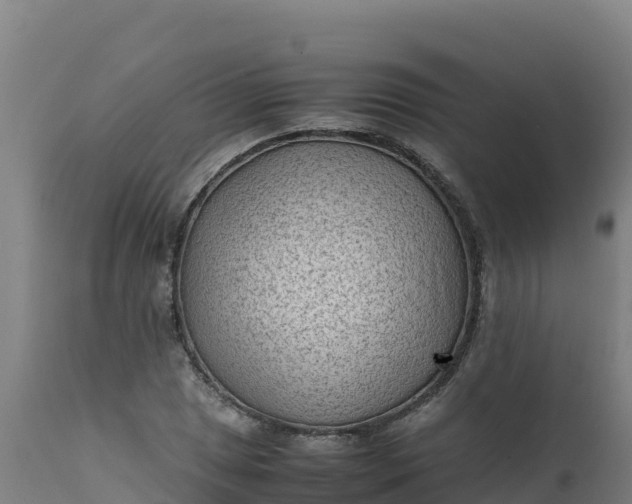 X0000112411025200908281809