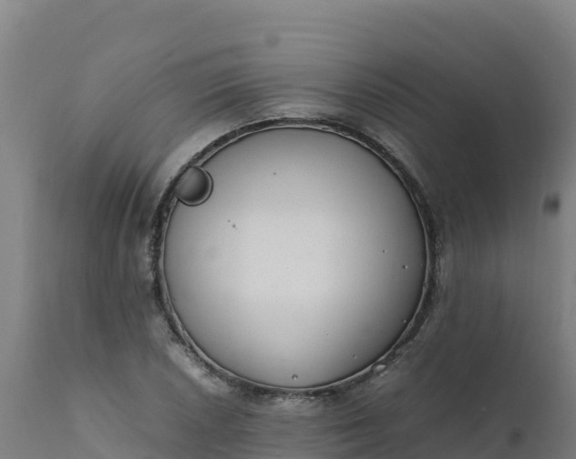 X0000112411026200908281809