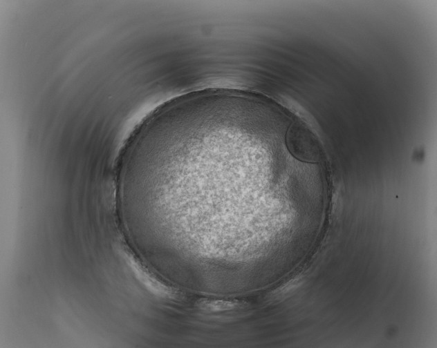 X0000112411027200908281809