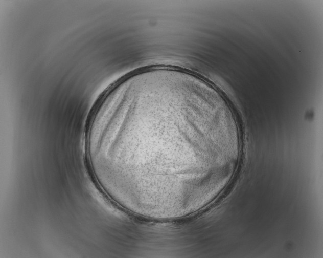 X0000112411028200908281809