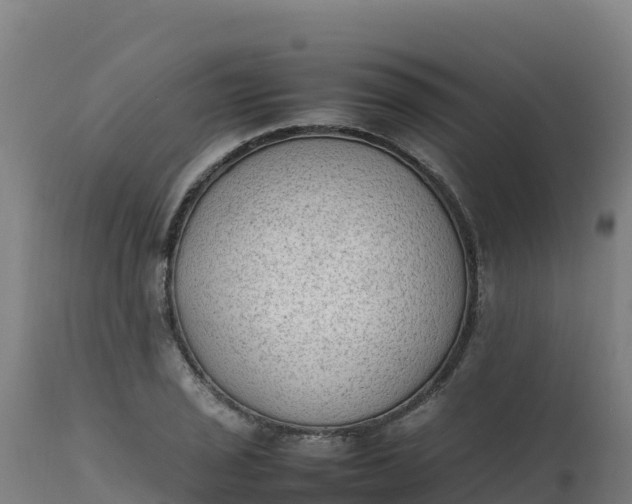 X0000112411029200908281809