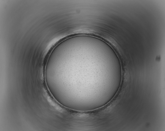 X0000112411030200908281809