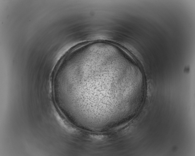 X0000112411031200908281809