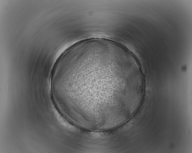 X0000112411032200908281809