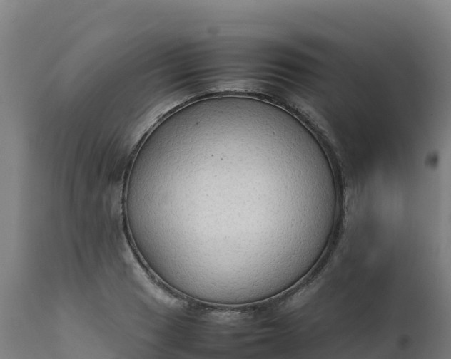 X0000112411033200908281809