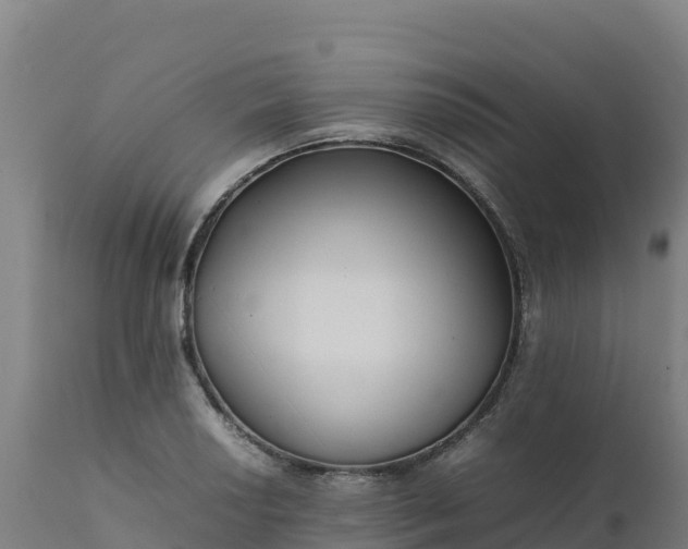 X0000112411034200908281809