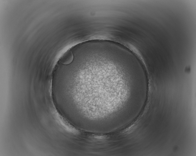 X0000112411035200908281809