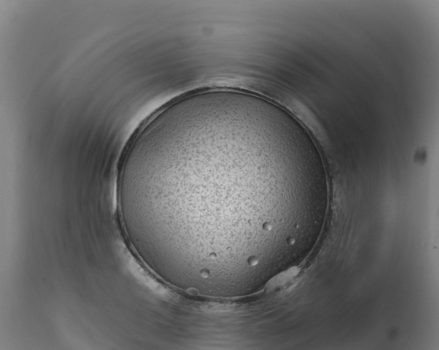 X0000112411036200908281809