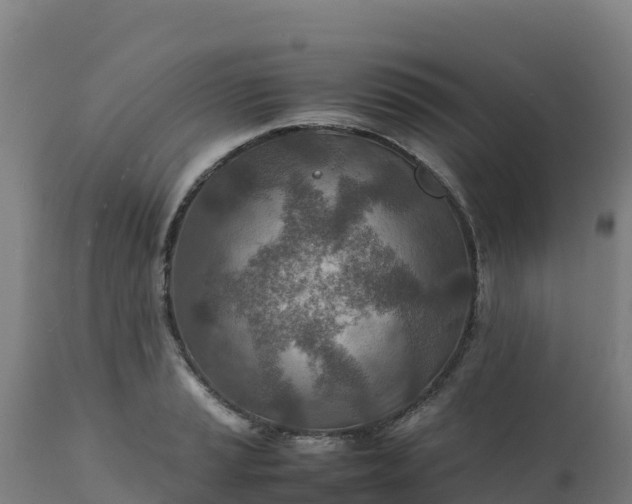 X0000112411037200908281809