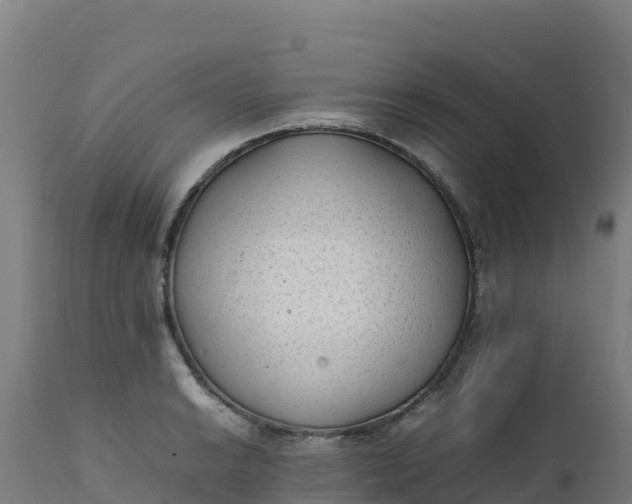 X0000112411038200908281809