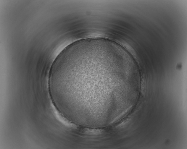 X0000112411039200908281809