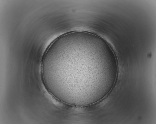 X0000112411040200908281809