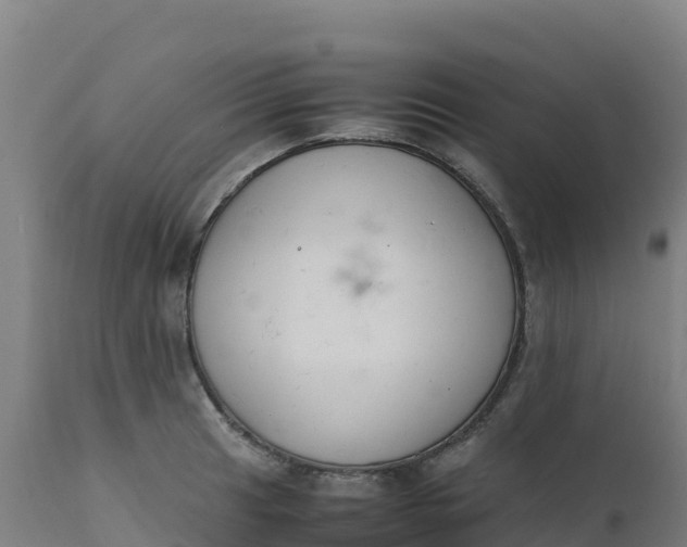 X0000112411041200908281809