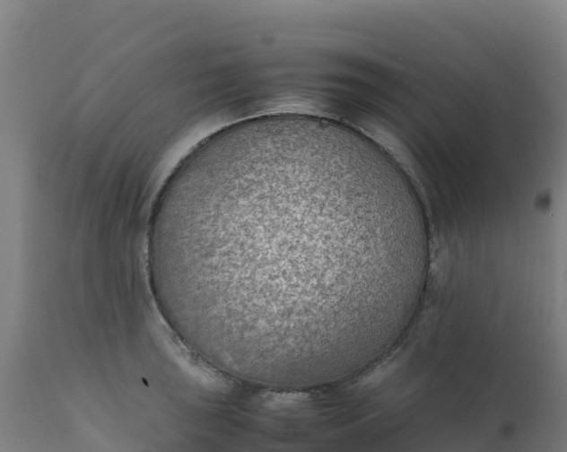 X0000112411043200908281809