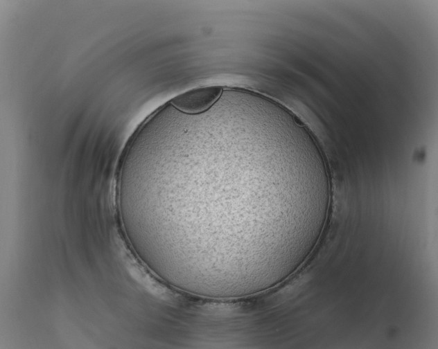 X0000112411044200908281809