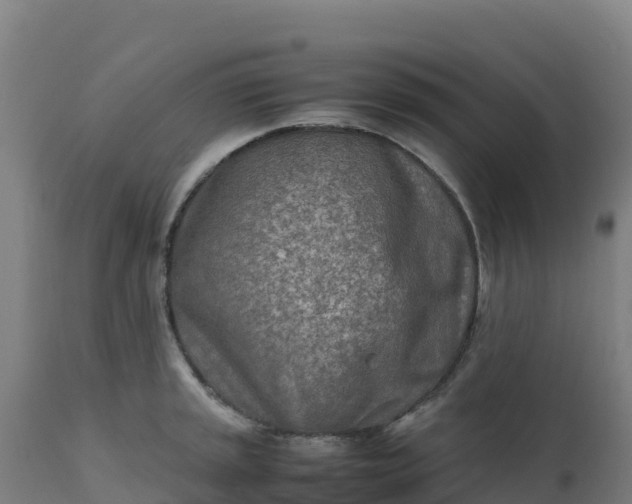 X0000112411045200908281809