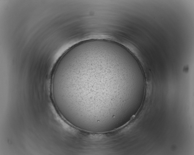 X0000112411046200908281809