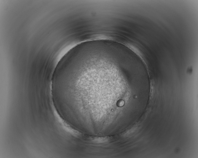 X0000112411047200908281809