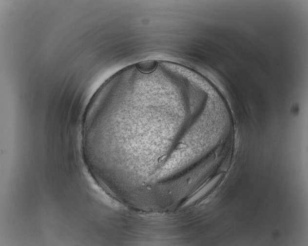 X0000112411048200908281809