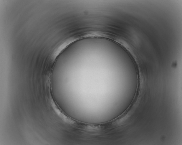 X0000112411049200908281809