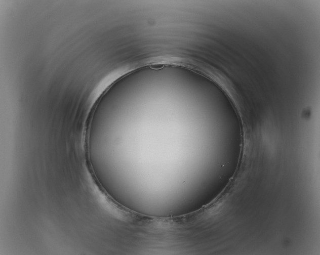 X0000112411050200908281809