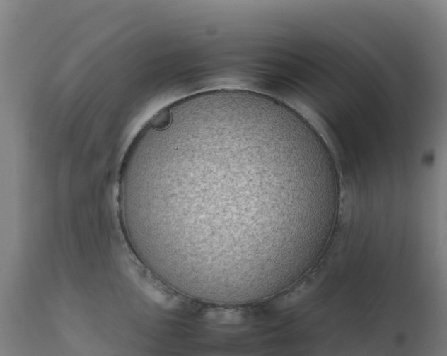 X0000112411051200908281809