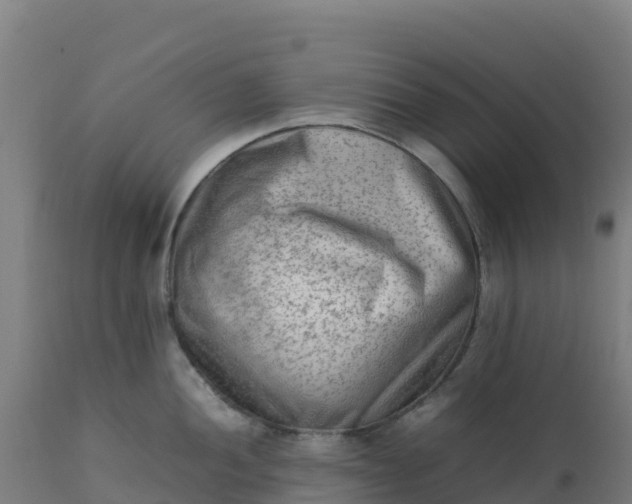 X0000112411052200908281809