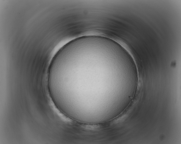 X0000112411053200908281809