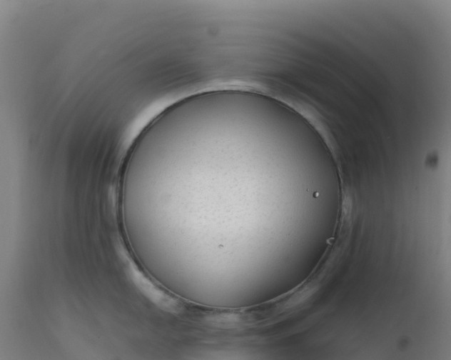 X0000112411054200908281809