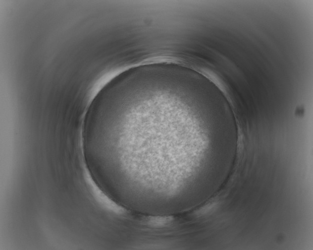 X0000112411055200908281810